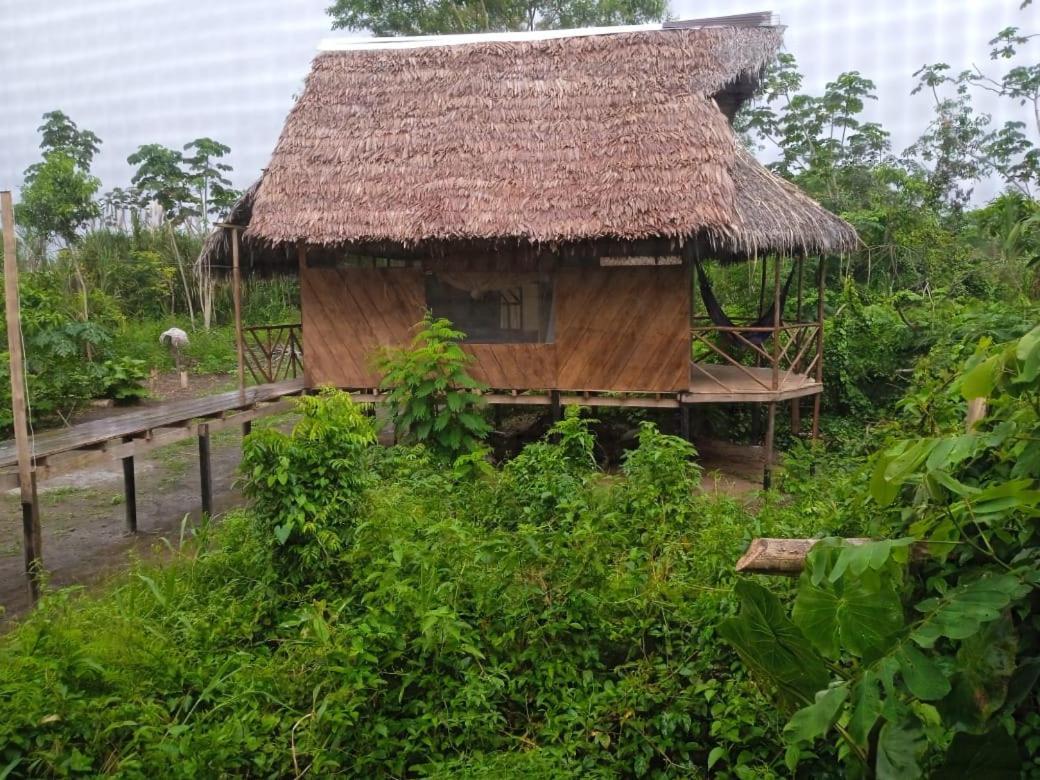 Camungo Lodge In Indigenous Community All Inclusive Nauta 外观 照片