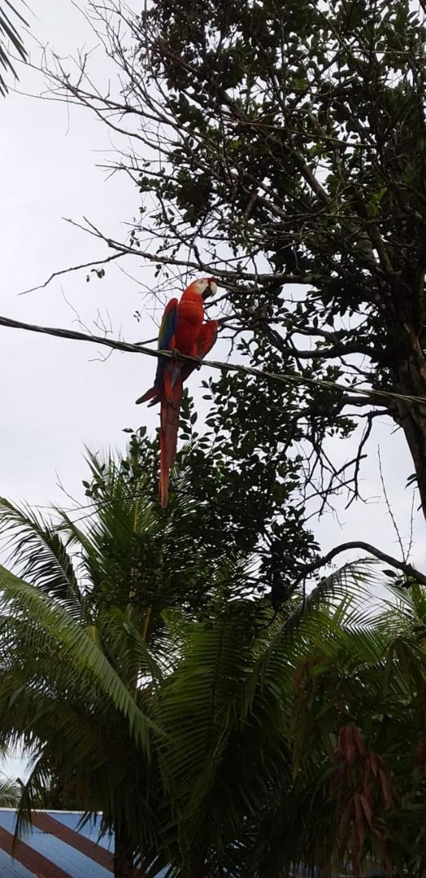 Camungo Lodge In Indigenous Community All Inclusive Nauta 外观 照片