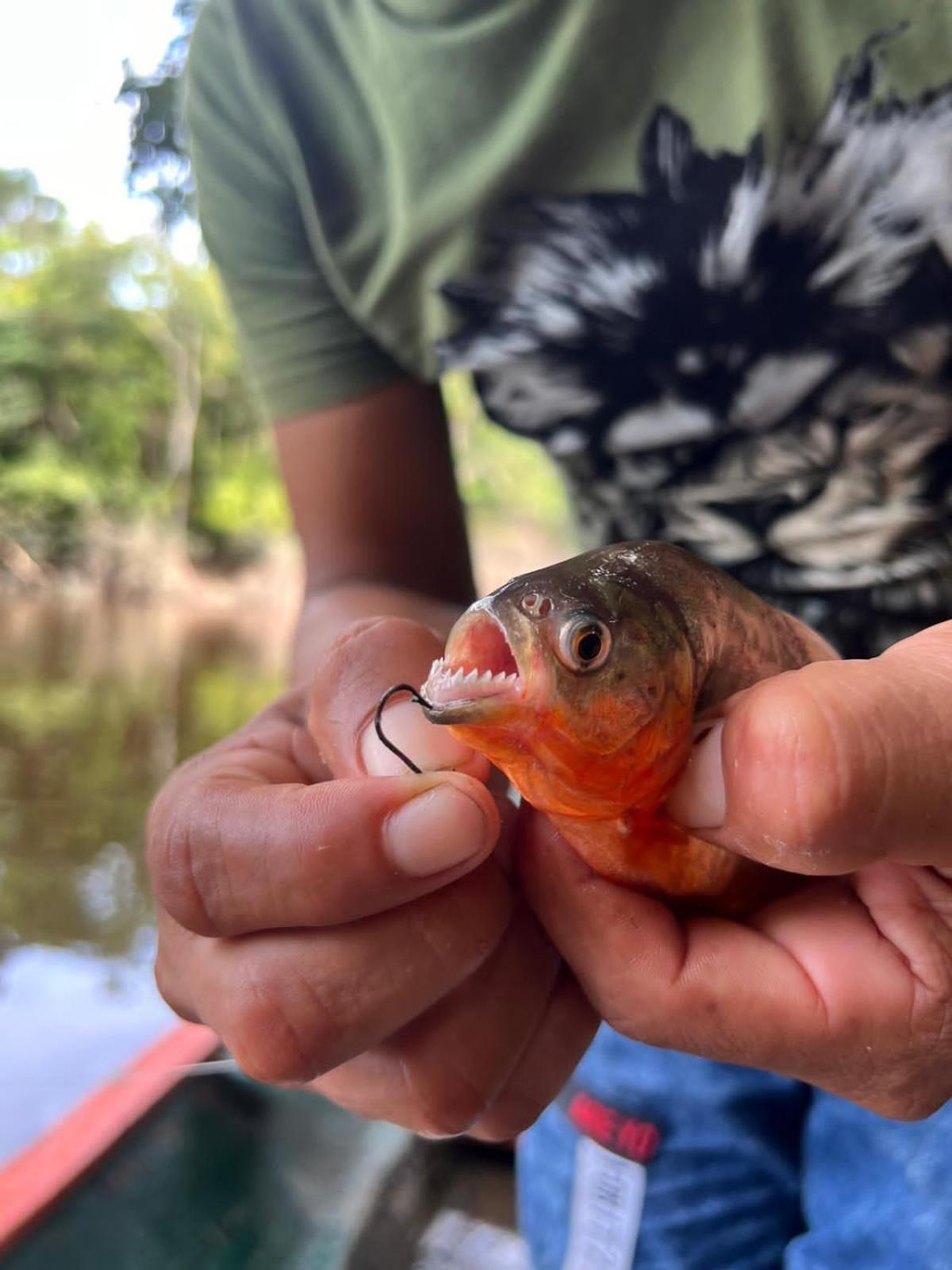 Camungo Lodge In Indigenous Community All Inclusive Nauta 外观 照片